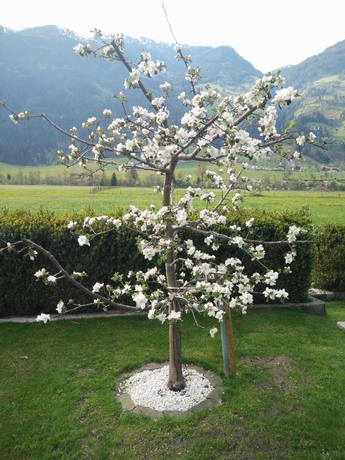 Ferienwohnung Wallner Zell am Ziller Dış mekan fotoğraf